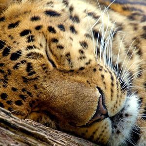 Meet your Posher, Margaret